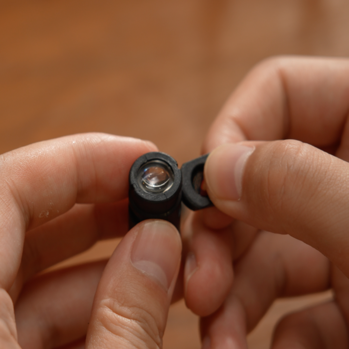 Lens Capsule