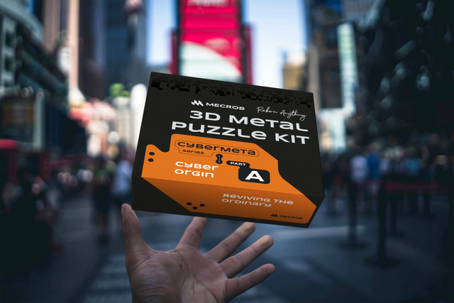 3 D Metal Puzzle Kit